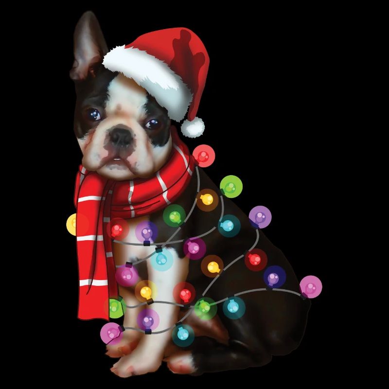 Chien Boston Terrier de Noël - Drôle de chiot de Noël