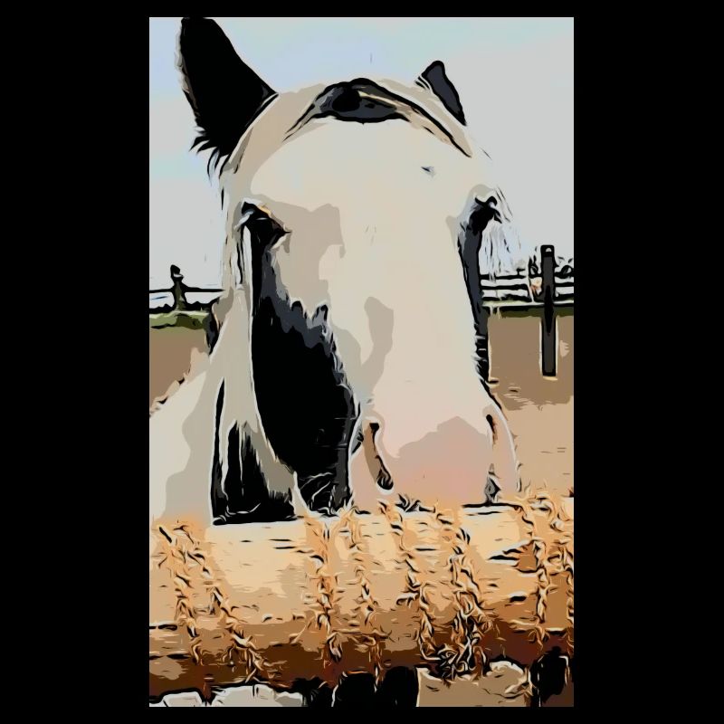 Sweet Tinker Pony
