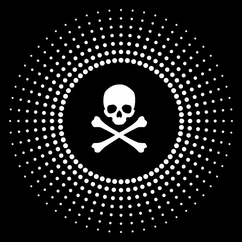 Skull and crossbones gift