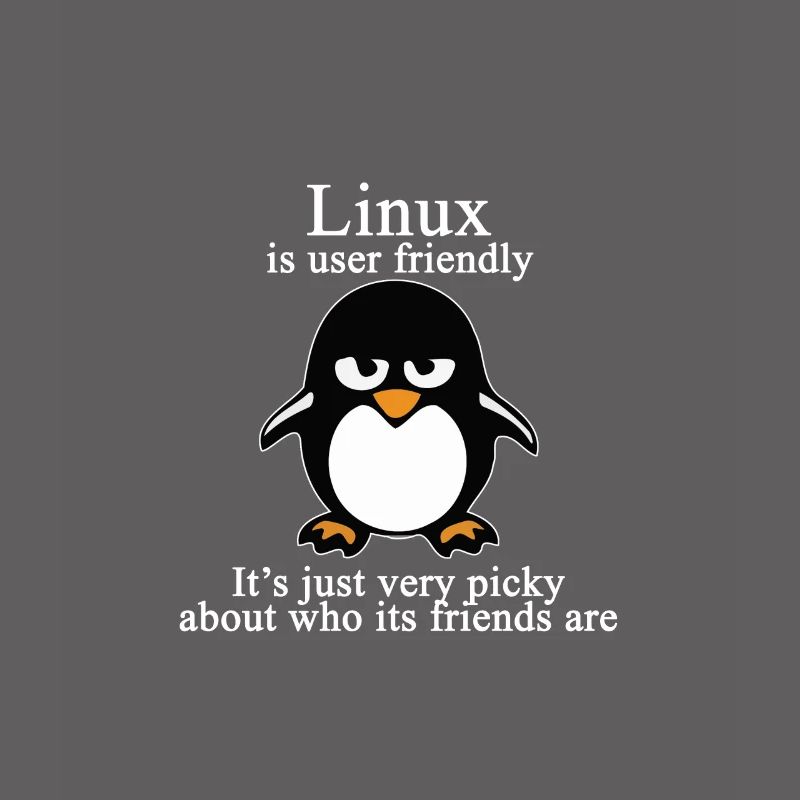 Programming Computer Science Gift · Friendly