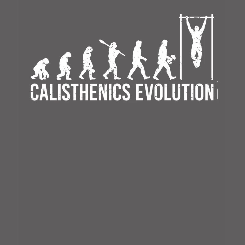 Calisthenics Evolution Pull up Klimzug workout