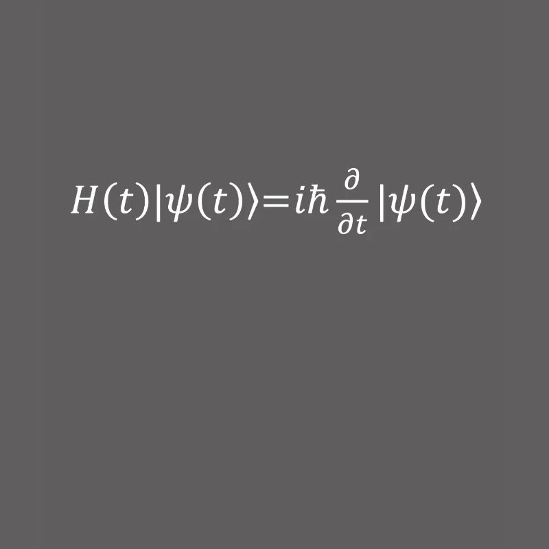 Schrödinger Equation Physicist Gift Physics