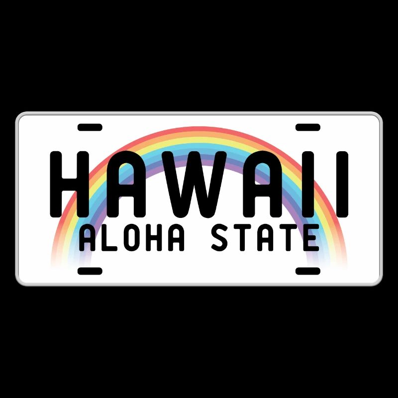 Hawaii Aloha State