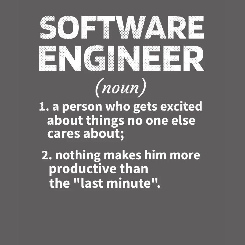Softwareingenieur Software Engineer Techniker