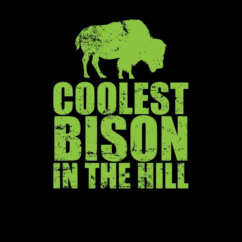 Bison cool dans la colline Animal