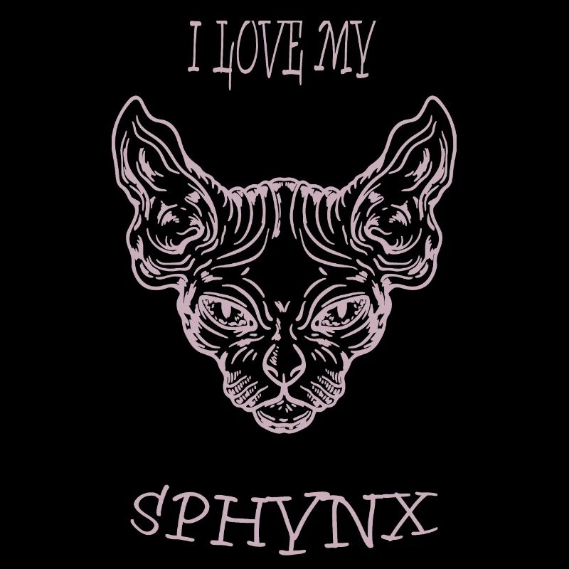 Chat nu Sphynx chat