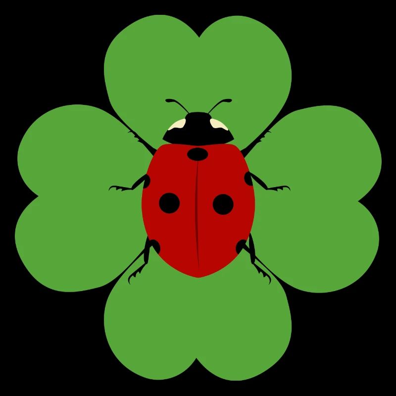 Kleeblatt Marienkäfer