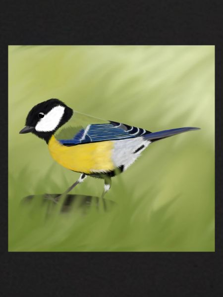 Tit
