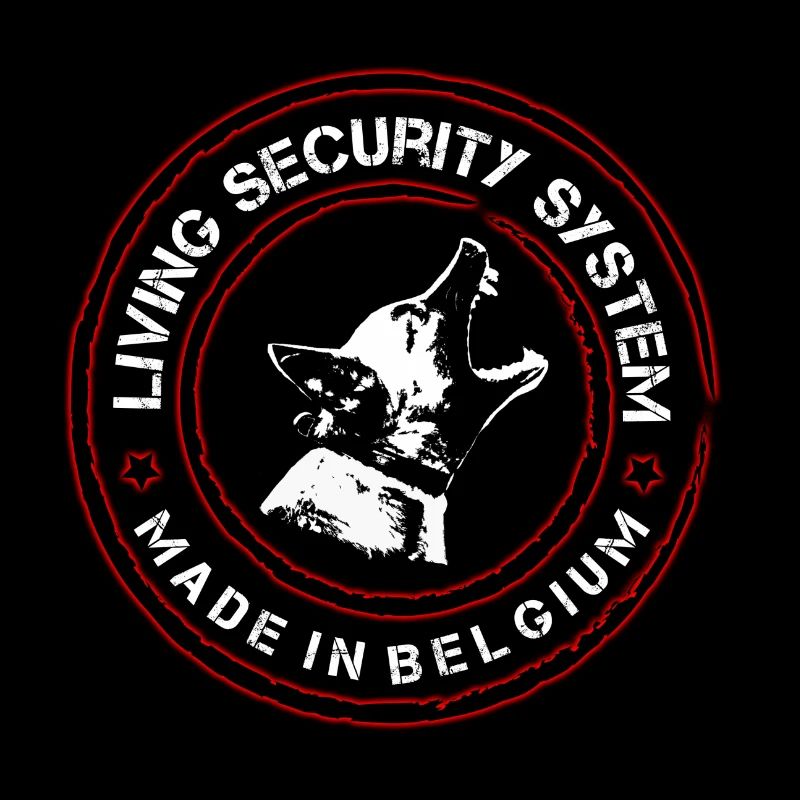 Mali_Security2