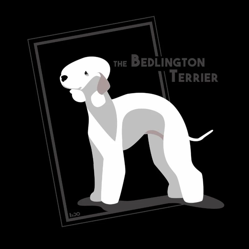 der Bedlington Terrier von IxCÖ