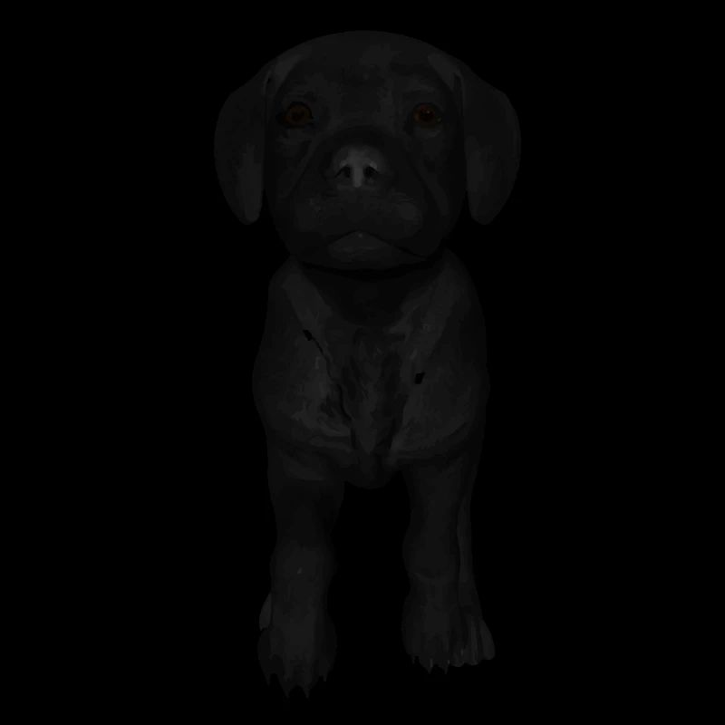 Labrador puppy
