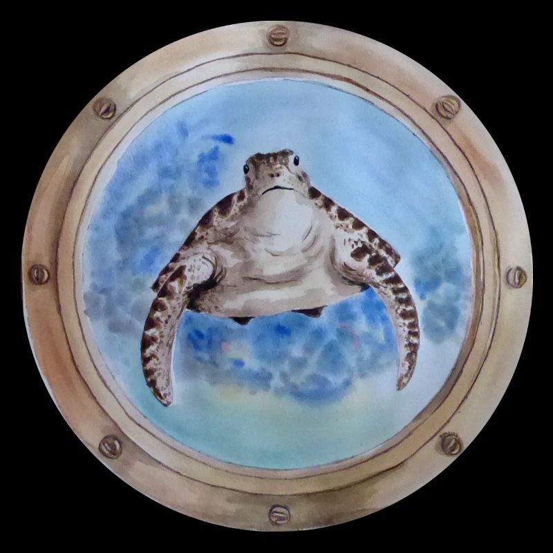porthole turtle