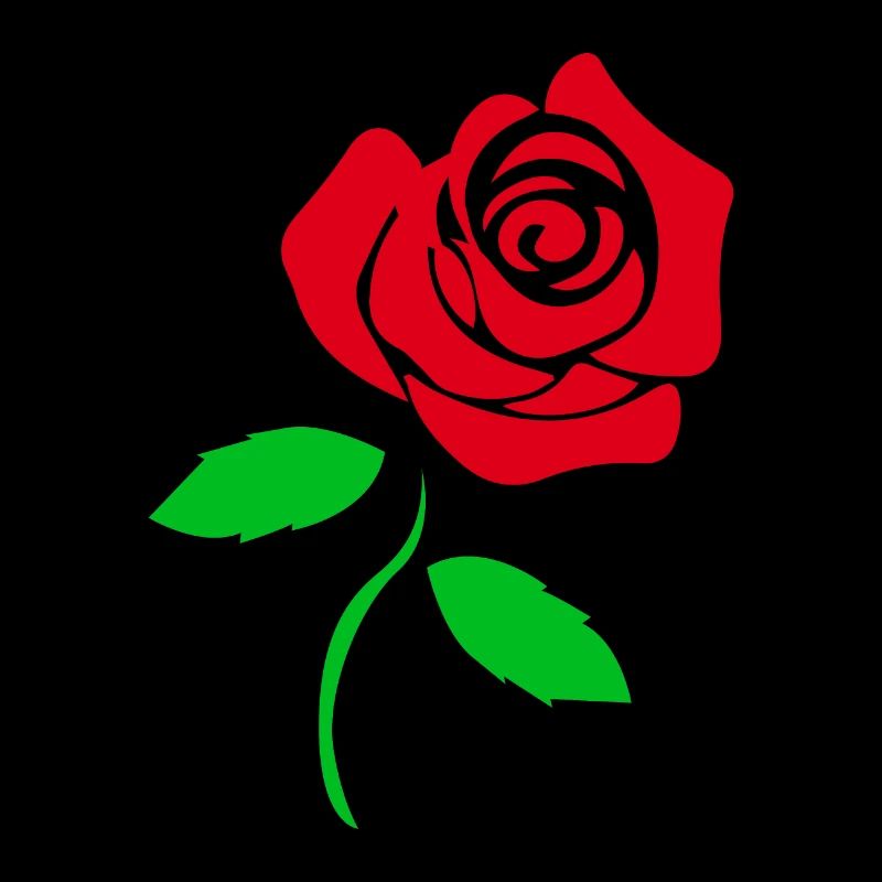 Blumen Rote Rose Romantische Geschenkidee