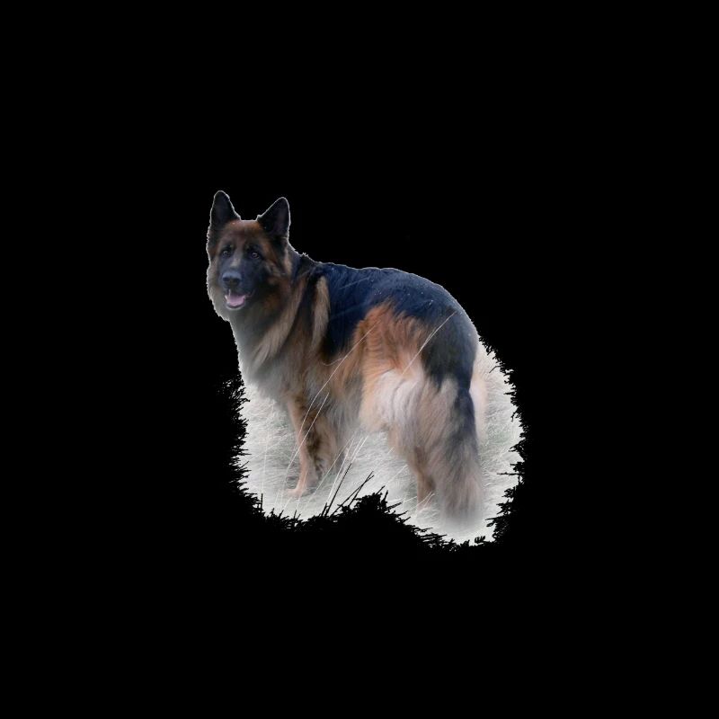 Deutscher Schäferhund