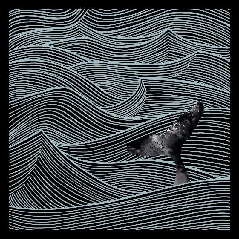 Baleines océaniques