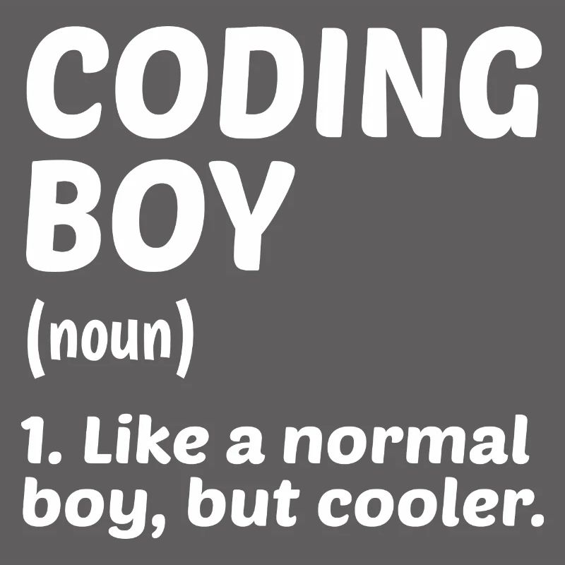 Coding Boy Definition Noun Software Developer Prog