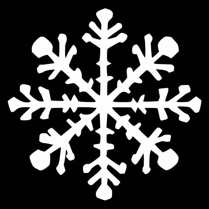 Snowflake Snow Winter Christmas Vector 12