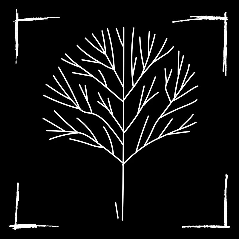 Baum (blanc) - 'This is Nature'