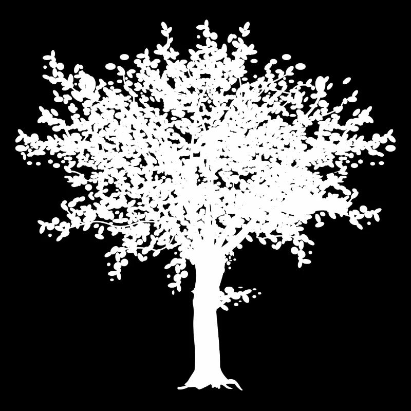 Baum weiß