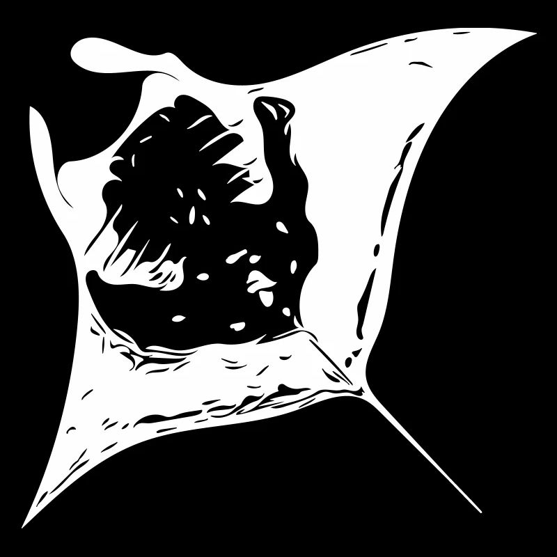Manta Ray - Teufelsrochen