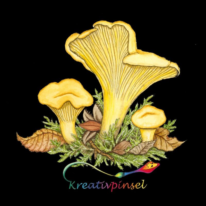 chanterelle