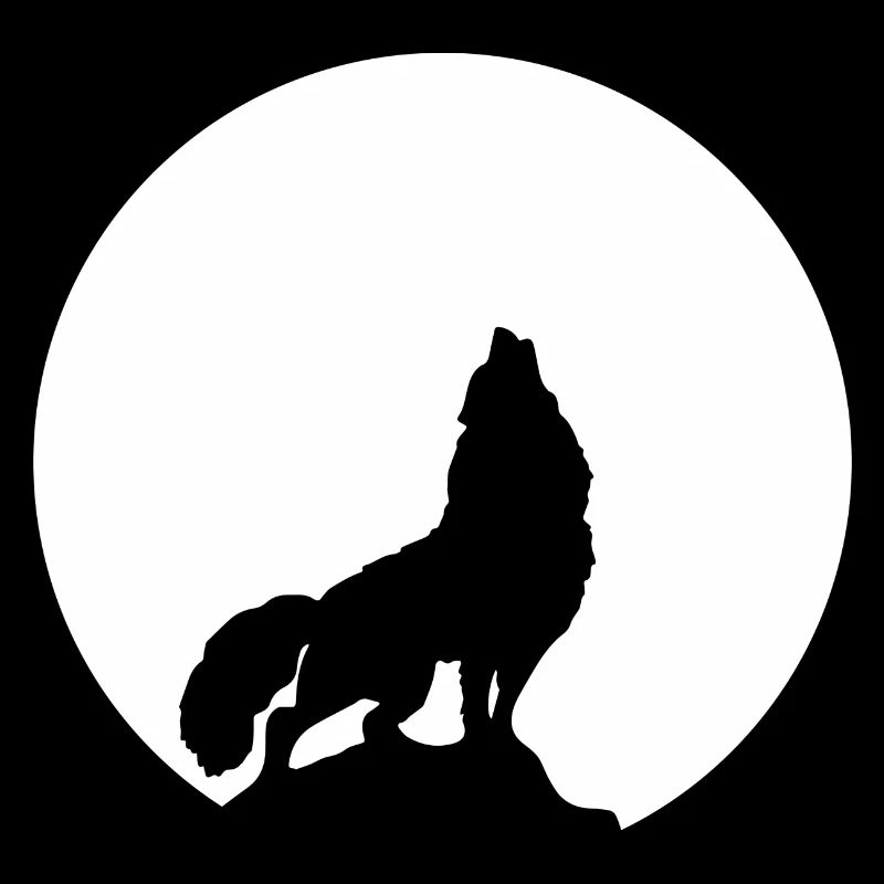 Wolf Moon Universe Astronomie