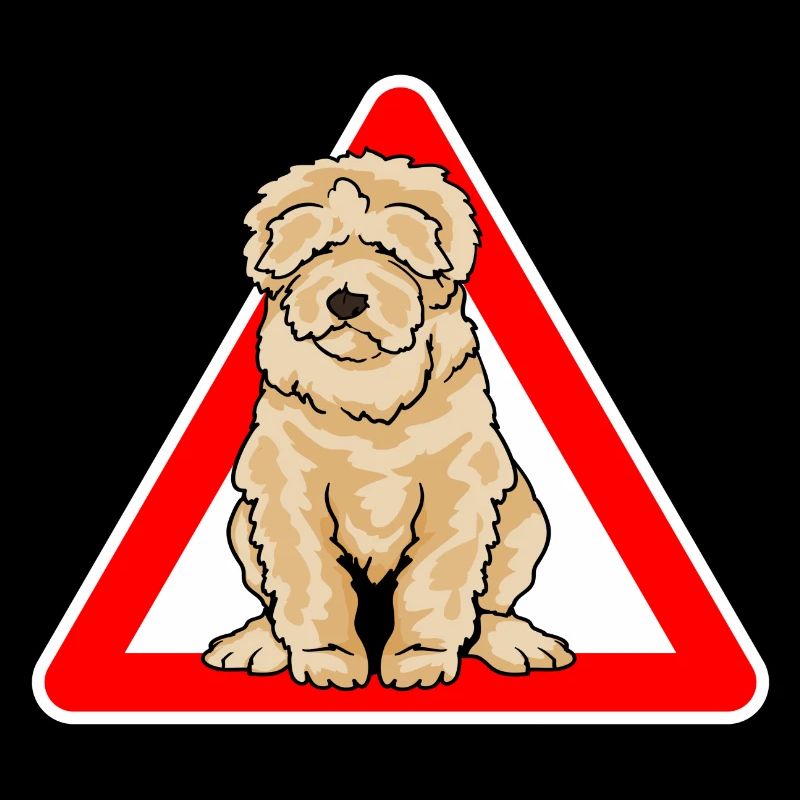 Labradoodle Goldendoodle Doodle Dog