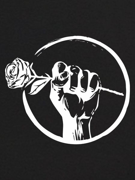 Weiße Rose