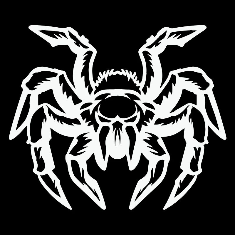 spinne