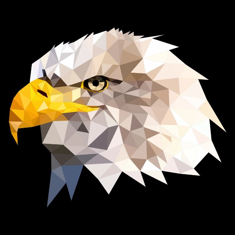 Bald Eagle Sea Eagle American Eagle Eagle