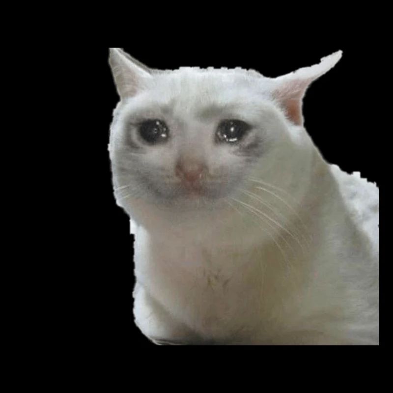 Chat meme