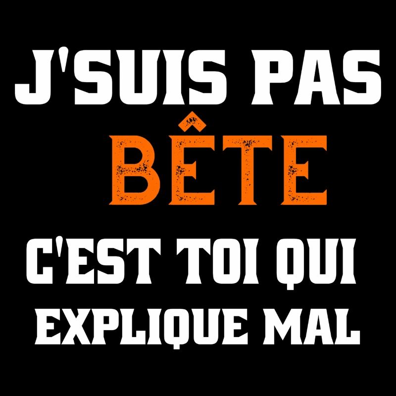 j suis pas bête c'est toi qui explique mal