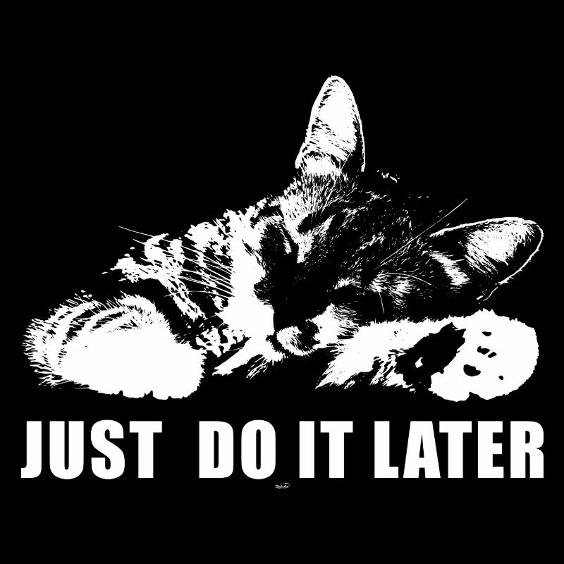 Just Do It Later Funny Parody Meme Cat