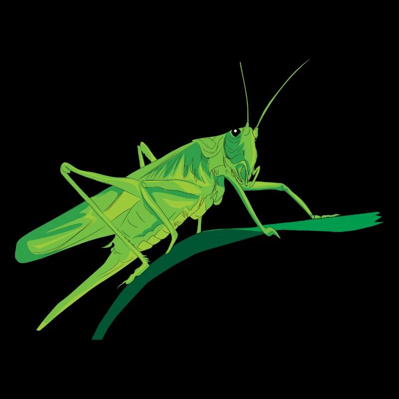 Grasshopper grasshopper insect vegetarian gift