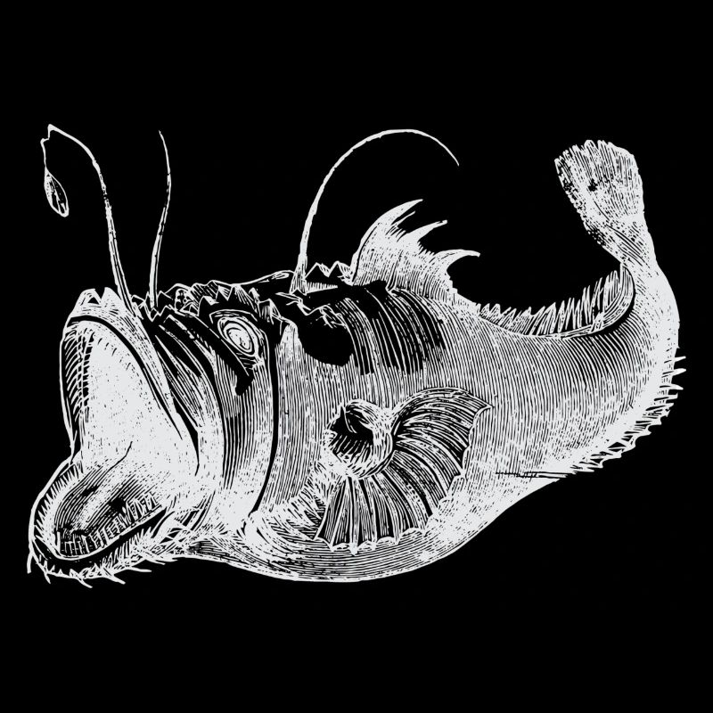 Poisson profond blanc