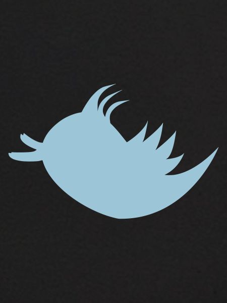 Twitter Logo