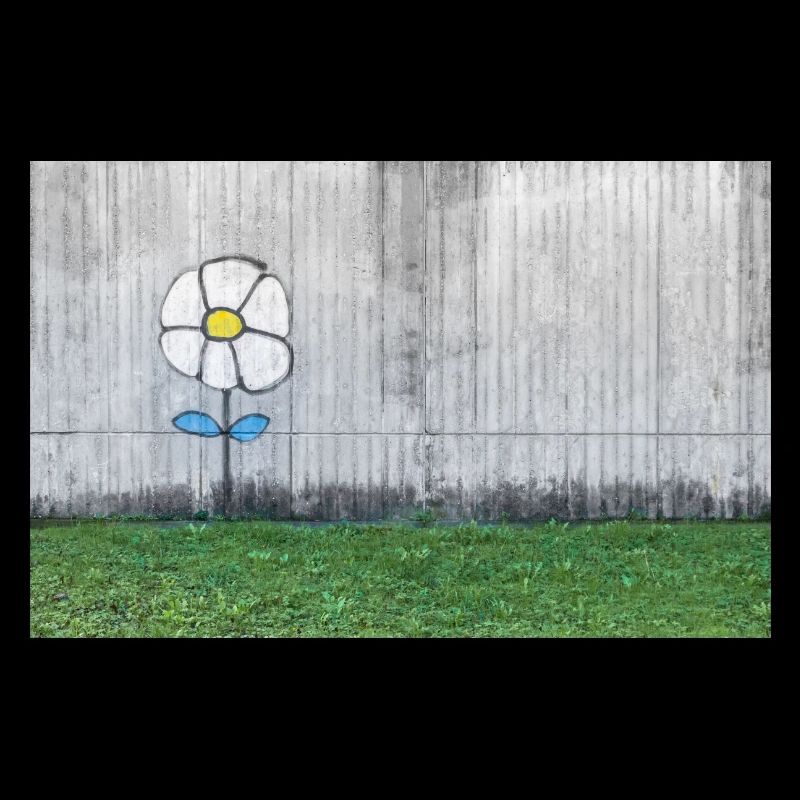 Graffiti eines Gänseblümchens