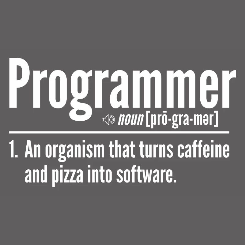 Programmierer