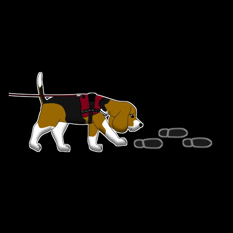 Mantrailing Beagle