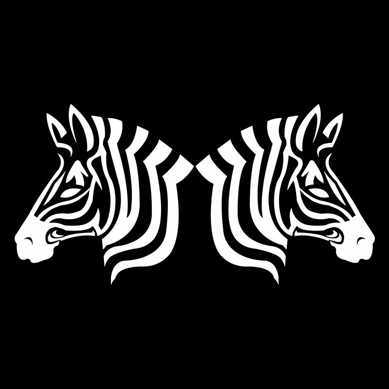 zebras