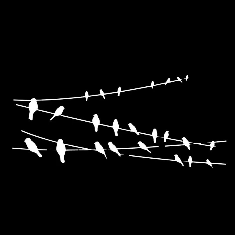 birds on power pole