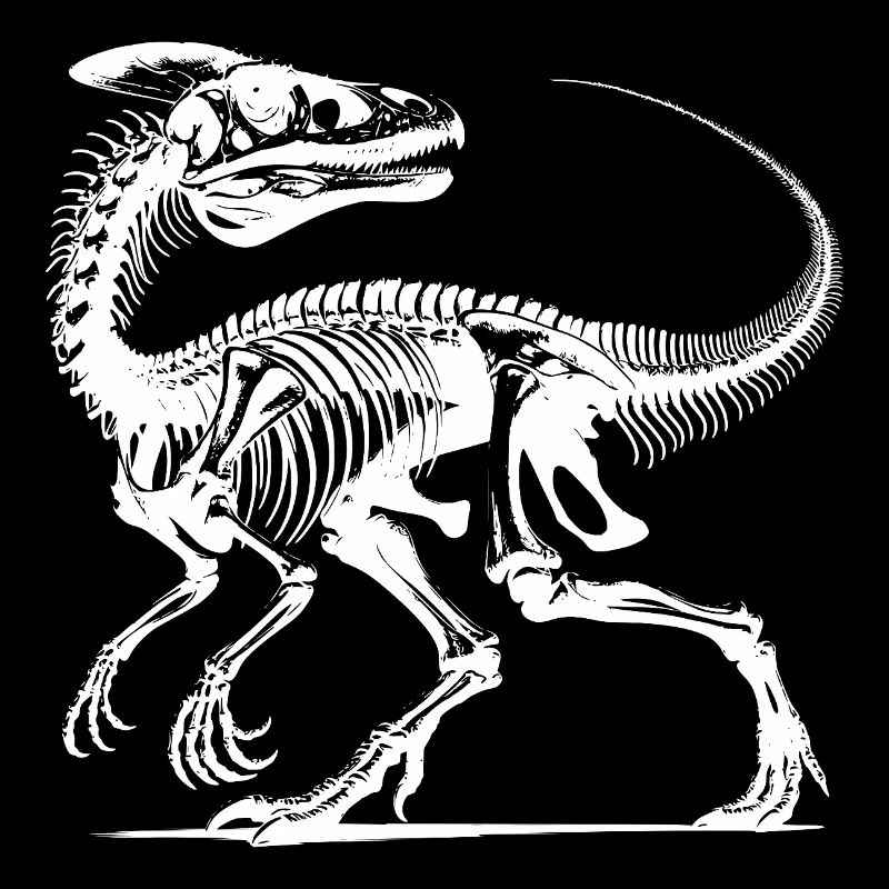 Raptor Dino - Ich bin nicht alt – ich bin Fossil
