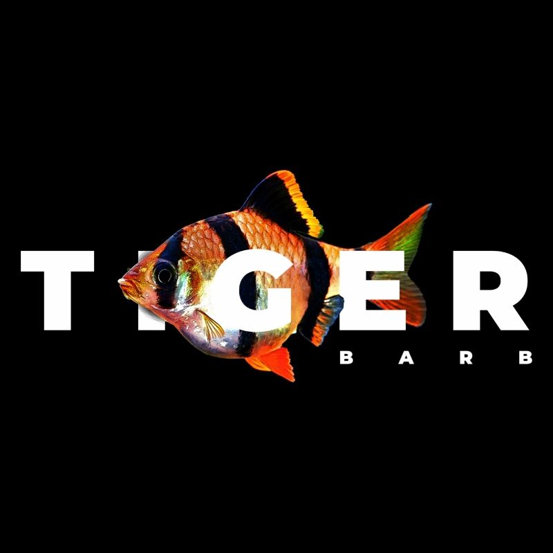 Poisson d’aquarium Tiger Barb