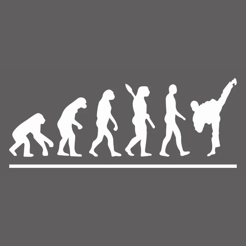 Évolution karaté
