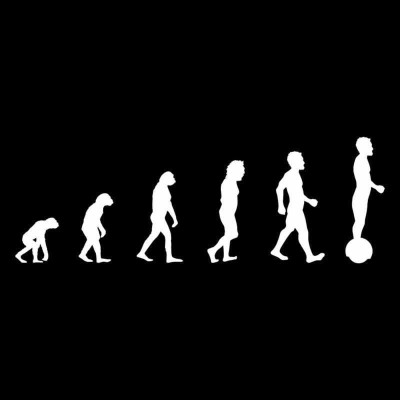 Gyroroue Evolution