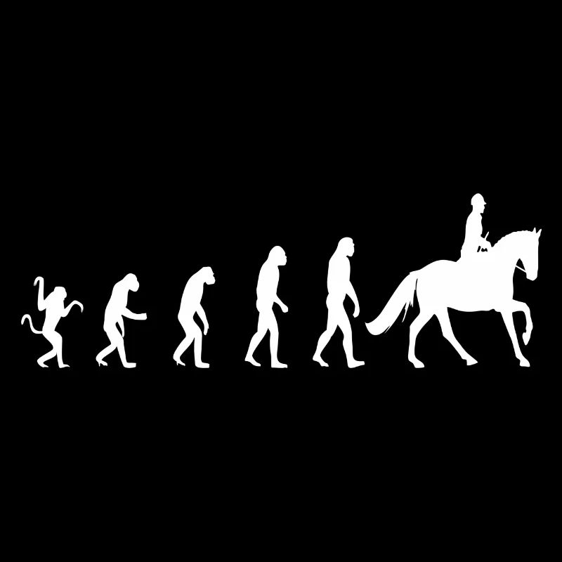 Equestrian Equestrian Evolution Horse
