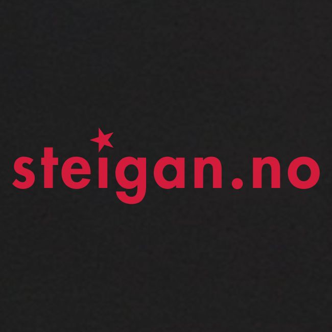 steigan.no logo