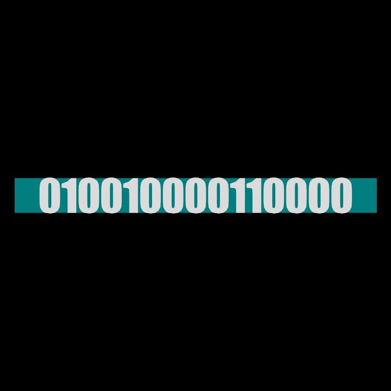 Langage de programme de code binaire