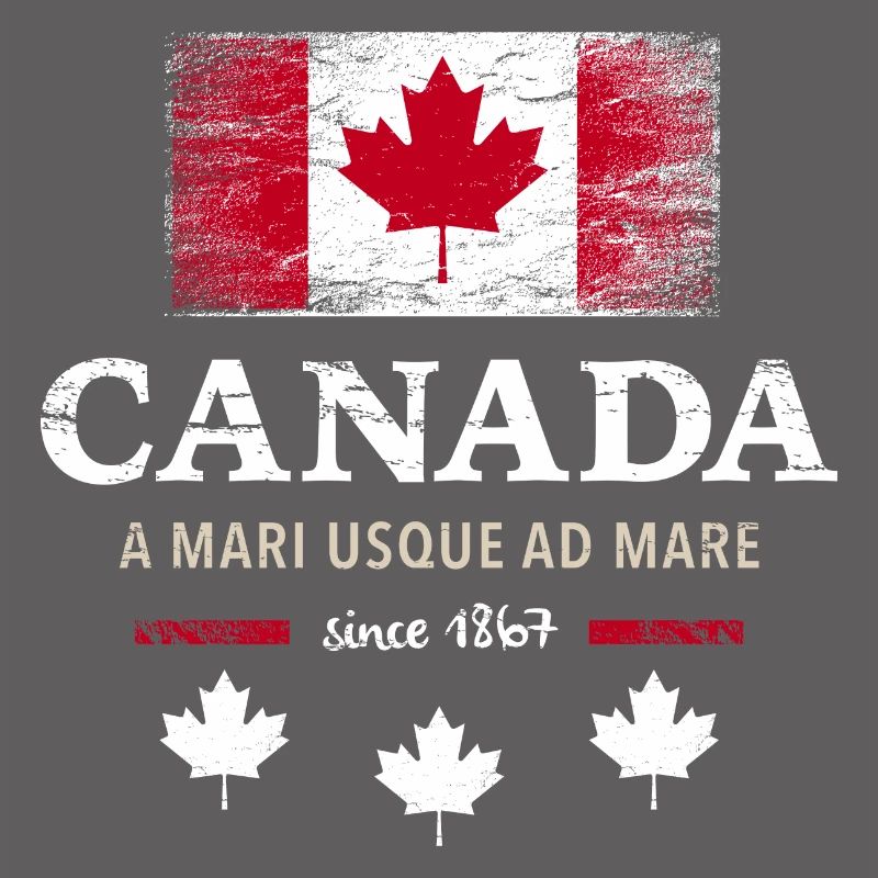 Drapeau unifolié Canada Canada Amérique