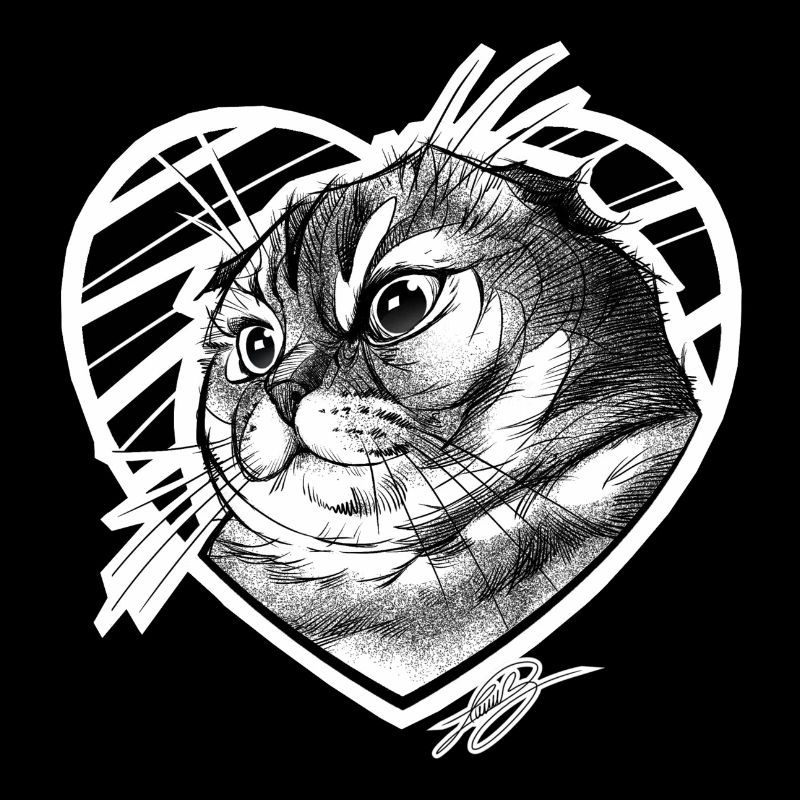 The Crocreto Cat